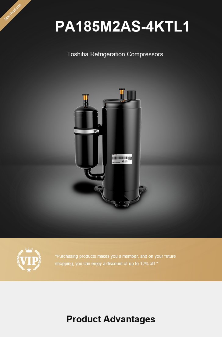 Toshiba Compressor PA185M2AS-4KTL1, technical parameters pdf, structure diagram